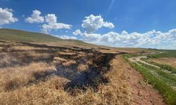 Yozgat’ta Jandarma Devriyesine Yakalandı! Tam 5 Dönümü Ateşe Veren Şahsa Şok İşlem