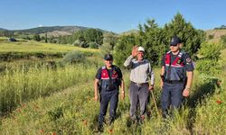 Yozgat'ta Kaybolan Yaşlı Vatandaş Jandarma Tarafından Sağ Bulundu