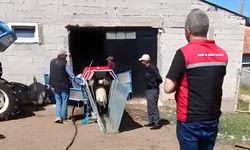 Yozgat'ta Kene Alarmı! Sarıkaya'da Hayvanlar İçin Seferberlik Başlatıldı
