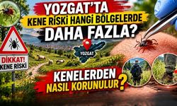 Yozgat'ta Kene Riski Hangi Bölgelerde Daha Fazla? Kenelerden Nasıl Korunulur?