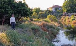 Yozgat'ta Korkutan Manzara! Baraj Taştı, Köyü Yılanlar Bastı