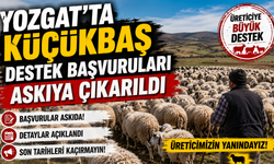 Yozgat'ta Küçükbaş Destek Başvuruları Askıya Çıkarıldı