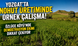 Yozgat’ta Nohut Üretiminde Örnek Çalışma! Özlüce Köyü’nde Demonstrasyon Ekimi Dikkat Çekiyor