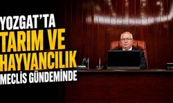 Yozgat'ta Tarım ve Hayvancılık Meclis Gündeminde