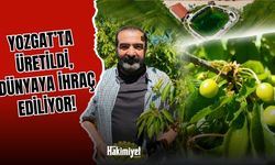 Yozgat'ta Üretildi, Dünyaya İhraç Ediliyor!