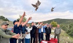Yozgat’ta Üretilen 900 Adet Gizli Güç Kırşehir’de Doğaya Salındı!