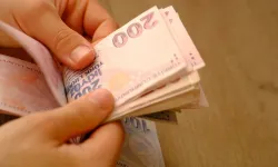 Tarım ve Orman Bakanlığı resmen duyurdu! Hibeler hesaplara yatırılıyor