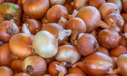 Bakanlıktan kuru soğan tedbiri! Gümrük vergisi yeniden düzenlendi