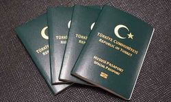 Yeşil pasaportun alanı genişliyor mu? Belirli meslek gruplarına yeşil pasaport hakkı yolda