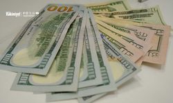 Ünlü Ekonomist Açıkladı: Dolar Alan Mı Yoksa Parasını Faize Koyan Mı Kazanacak?