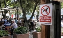 Evcil Hayvan Yasağı Gündemde: Yozgat'taki İşletmeleri de Kapsayacak