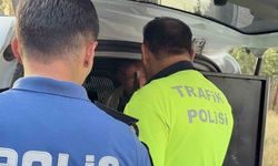 Kayseri’de Polise Mukavemet Şoku: Kimlik Sorma Bahanesiyle Gelen Babaya Ağır Ceza