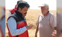Kırşehir’de Hububat Sezonu Açıldı: Validen Çiftçiye Kritik Fiyat Uyarısı