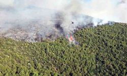 Muğla Milas'ta Ciğerleri Yakan Yangın: 8 Uçak ve 10 Helikopterle Zorlu Müdahale