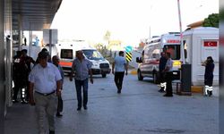 Doç. Dr. Işık açıkladı: Arı sokmasına bağlı ölümler kalp krizi sanılıyor