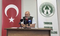 Orman Mühendisleri Odası Başkanı Türkyılmaz açıkladı: Yangınlarda yanan alan 54 binden 2 bin hektara düştü