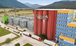 Golda Gıda Halka Arzında Talep Toplama Başladı! Golda Gıda Kaç Lot Verecek, Golda Gıda Katılım Endeksine Uygun mu?