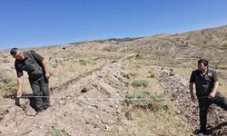 Yozgat’ta "Yeşil Vatan" İçin Dev Adım: Musabeyli Yeşerecek