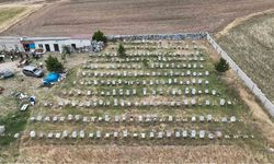 Arıcı maskesini giyip kovanların başına geçti: Belediye başkanı müjdeyi verdi, Yozgat'ta ilk kez düzenlenecek