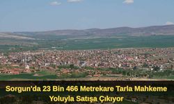 Yozgat'ta Dev Tarla Mahkemeden Satışa Çıkıyor