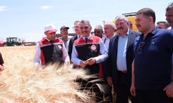 Tarım ve Hayvancılık Yozgat Ekonomisinin Temelini Oluşturuyor