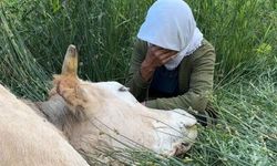 Türkiye'yi Ağlatan Ayni Teyzenin Yüzü Güldü! Hayırseverlerden Büyük Destek
