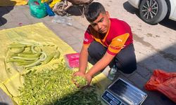 Yerköy'de Köylü Pazarı Şenleniyor: Bamyalar Pazarda!