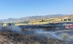 Yozgat Aydıncık’ta Alevler Tarlayı Sardı! Ekipler Seferber Oldu