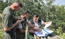 Yozgat Orman İşletme Müdürü Sahaya İndi!