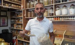Yozgatlı Aktardan Şifa Deposu Tavsiyesi: Ağaç Kabuğundan Gelen Mucize!