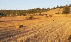 Yozgat'ta 1,6 Milyon Liralık Tarla İcradan Satışa Çıkarıldı