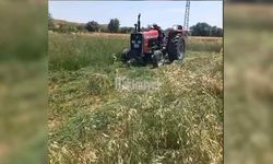 Yozgat'ta 5'li Karışım Yem Bitkisi Deneme Ekimi Başarıyla Tamamlandı