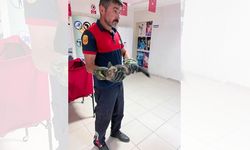 Yozgat'ta Akıl Almaz Olay! İtfaiye Kurtardı