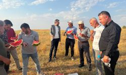 Yozgat'ta Hasat Bereketi: AK Parti İlçe Başkanı Çiftçileri Ziyaret Etti