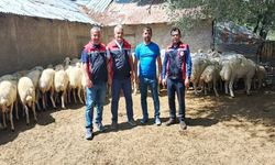 Yozgat'ta Hayvancılığa Dev Destek! Hak Sahiplerine Teslimatlar Başladı