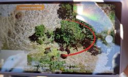 Yozgat'ta Jandarma Drone Kaldırdı, Kayıp Hayvanları Buldu