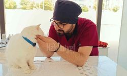 Yozgat'ta Kedi ve Köpek Sahipleri Bu Habere Dikkat!