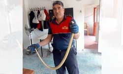Yozgat'ta Motor Kaputunu Açtı: Küçük Dilini Yuttu