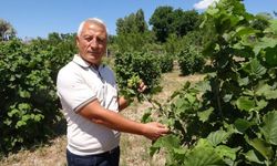 Yozgat'ta Olmaz Dediler: Karadenizi Kıskandırdı!