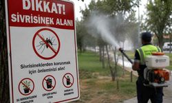 Yozgat'ta Artan Hava Sıcaklıkları Yeni Tehlikelere Davetiye Çıkarıyor
