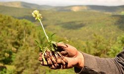 Yozgat'ın Tescilli Lezzeti Bozok Üniversitesinde Anlatılacak