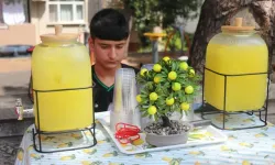 Sakarya'da 14 yaşındaki genç limonata satarak ayda 90 bin lira kazanıyor