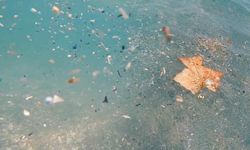 Antalya Denizlerinde Mikroplastik Tehlikesi