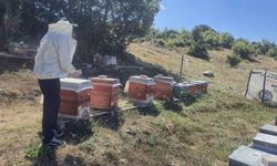 Yozgat'ta Arıcılara Saha Desteği: Arılı Kovan Tespiti Başladı!