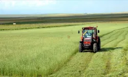 Yozgat’ta miras paylaşımı yapacaklar dikkat! Yargıtay’dan emsal karar