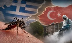 Batı Nil Virüsü Türkiye’ye Geldi mi? Komşudaki Alarm Sonrası Gözler Türkiye’de