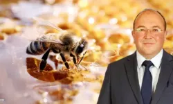 Çayıralan’da 16. Bal ve Kültür Festivali Başlıyor