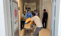Kene Vakası, 5 çocuk annesi bir haftalık yaşam savaşını kaybetti!