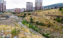 Hem Park Hem Piknik Alanı Geliyor: Yozgat'ta Yeni Bir Yaşam Alanı Doğuyor!