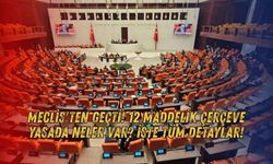 Meclis'ten Geçti! 12 Maddelik Çerçeve Yasada Neler Var? İşte Tüm Detaylar
